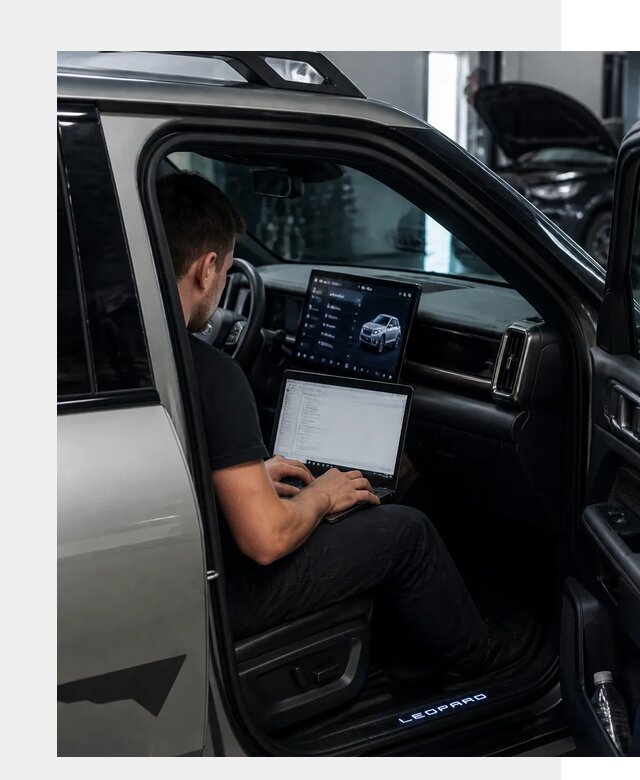 Русификация BYD Leopard 3 в Кызыле по цене от 20638 р. | ФастМобиль-Кзл